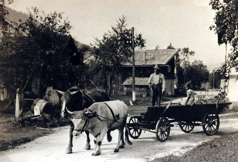 Datei:Leiterwagen m Pferd u Ochs 1936.JPG