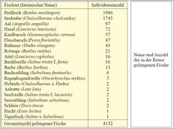 Seeache Perlfisch Statistik Tab1.jpg