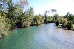 Ager bei Kleinmuehle Steinmuehle DSC 9603.JPG