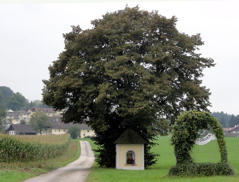 Datei:Wimmer-Kapelle St. Georgen.jpg