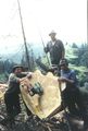 Waldarbeit 1967 - die Motorsäge beschleunigt die Waldarbeit wesentlich