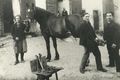 Das Beschlagen der Pferdehufe beim Schmied in Nußdorf war 1936 neben der Herstellung und dem Verkauf von Eisenwaren, Werkzeug und Beschlägen eine wichtige Tätigkeit.