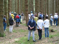 Eicher mit Hügelgrab