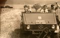 Beim Getreidemähen mit dem Ableger-Mähwerk, mit welchem sich das Getreide garbenweise ablegen ließ, durften die Kinder den Unimog steuern – beim Niedermoar 1955