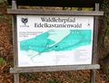 Schautafel Waldlehrweg Edelkastanienwald in Unterach