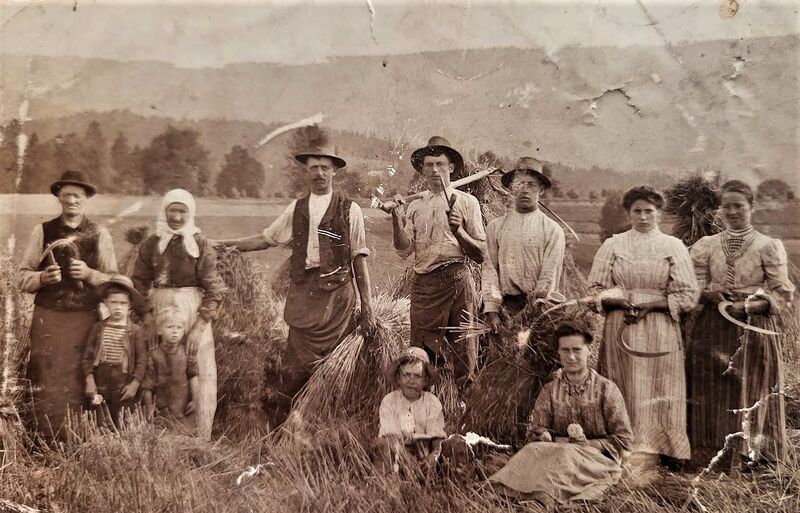 Datei:Getreideernte-1910-in Raschbach.jpg