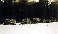 Brennholzbringung im Winter 1949